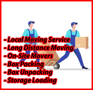 Packers And Movers Noida Sector 146